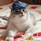 Leaked catinthebluehat onlyfans leaked