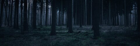 gender OnlyFans Leaks - Fans2Leak