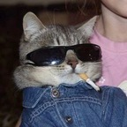 Leaked sinfulclown onlyfans leaked